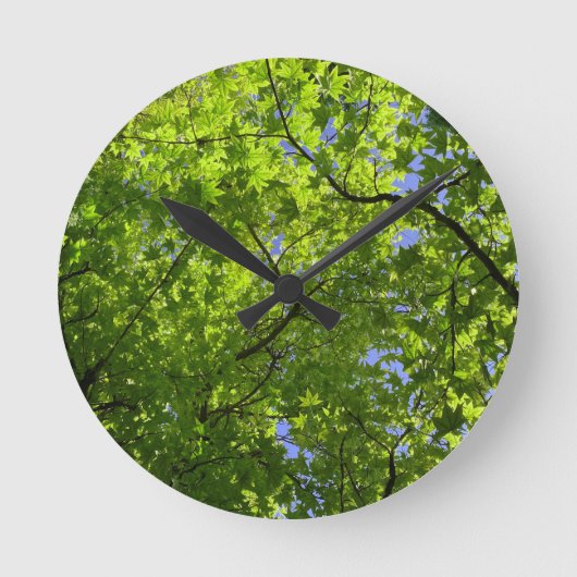 Ahorn im Frühling Runde Wanduhr (Vorderseite)