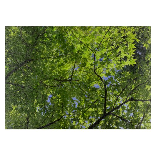 Ahorn im Frühling Schneidebrett (Vorderseite)