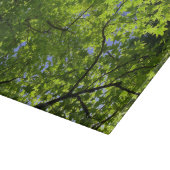 Ahorn im Frühling Schneidebrett (Ecke)