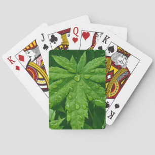 Ahorn im Frühling Spielkarten