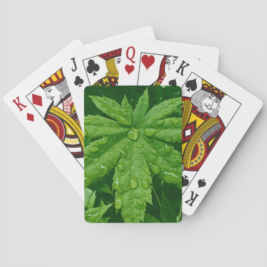 Ahorn im Frühling Spielkarten (Rückseite)