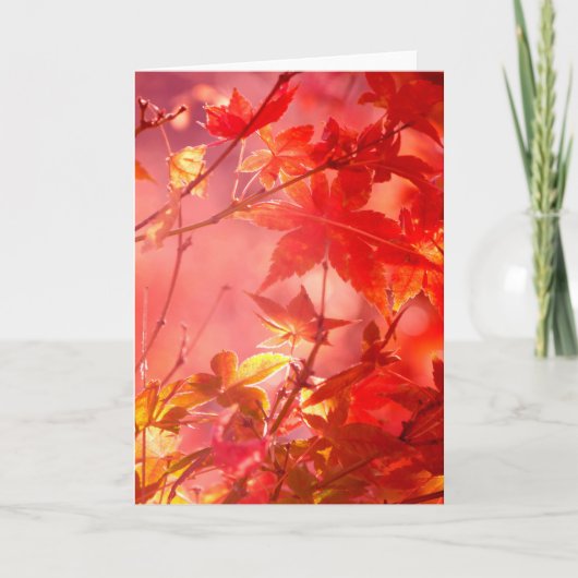 Ahorn Karte (Vorderseite)