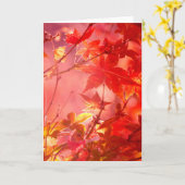 Ahorn Karte (Gelbe Blume)