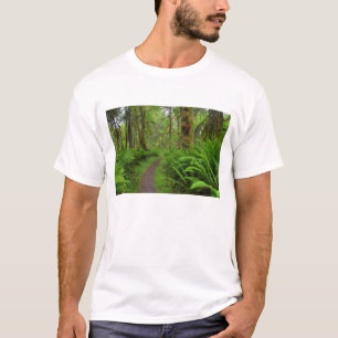 Ahorn-Lichtungspfad, mit Farnen und Moos bedeckt T-Shirt