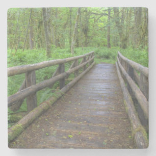 Ahorn-Lichtungsweg Holzbrücke, Farne und Steinuntersetzer