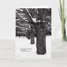 Ahorn-Linie: Emerson-Zitat