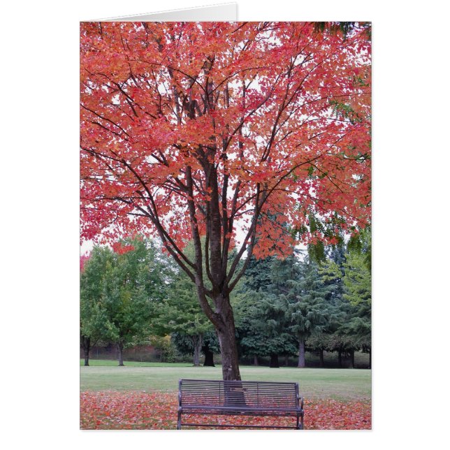 Ahorn mit Sitzkarte (Vorne)