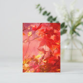 Ahorn Postkarte (Stehend Vorderseite)