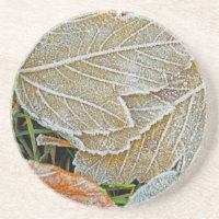 Ahorn Sandstone Untersetzer, gefroren