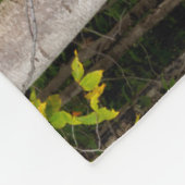 Ahorn und Weiße Birne | Weiße Berge, NH Fleecedecke (Ecke)