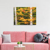 Ahorn und Weiße Birne | Weiße Berge, NH Leinwanddruck (Insitu (Wohnzimmer))