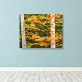 Ahorn und Weiße Birne | Weiße Berge, NH Leinwanddruck (Insitu (Holzboden))