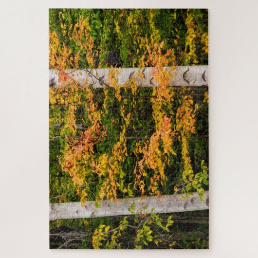 Ahorn und Weiße Birne | Weiße Berge, NH Puzzle (Vertikal)