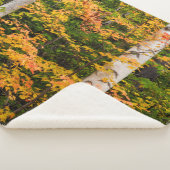 Ahorn und Weiße Birne | Weiße Berge, NH Sherpadecke (3/4)