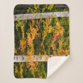 Ahorn und Weiße Birne | Weiße Berge, NH Sherpadecke (Vorderseite)