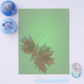 Ahorn-Verlass-Flyer Flyer (Einzeln)