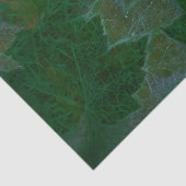 Ahorn Verlasse Grünen Neon Sommer Seidenpapier (Ausschnitt)