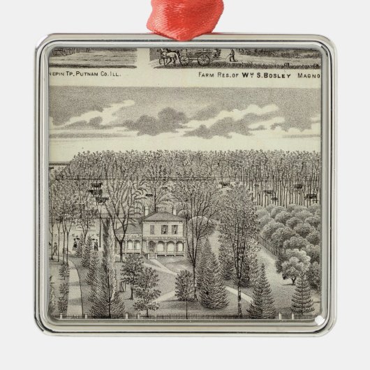 Ahorn-Waldungswohnsitz Silbernes Ornament (Vorne)