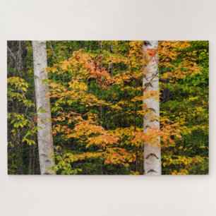 Ahorn & Weißbirke   White Mountains, NH Puzzle