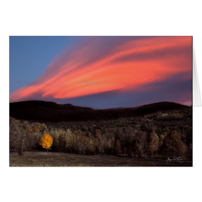 Ahornablaze bei Sonnenuntergang (Vorderseite (Horizontal))