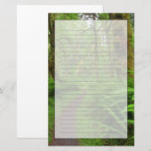 Ahornbahn, Farne und Moos bedeckt Briefpapier (Vorne/Hinten)