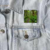 Ahornbahn, Farne und Moos bedeckt Button (Beispiel)