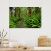 Ahornbahn, Farne und Moos bedeckt Poster (Küche)