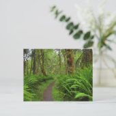 Ahornbahn, Farne und Moos bedeckt Postkarte (Stehend Vorderseite)