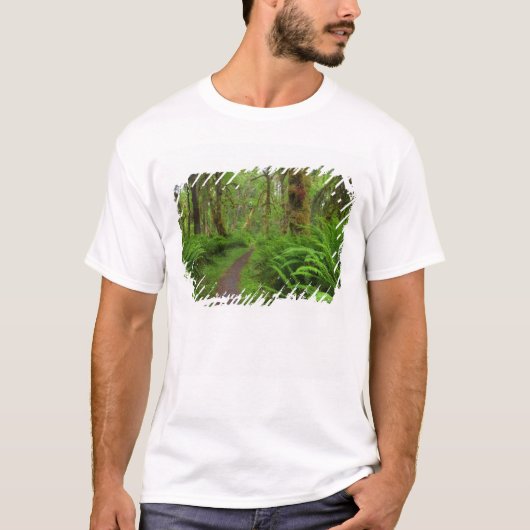 Ahornbahn, Farne und Moos bedeckt T-Shirt (Vorderseite)