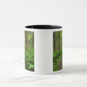 Ahornbahn, Farne und Moos bedeckt Tasse (Zentrum)