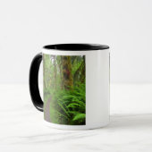 Ahornbahn, Farne und Moos bedeckt Tasse (Vorderseite Links)