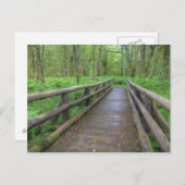 Ahornbahn Holzbrücke, Farne und Postkarte (Vorne/Hinten)