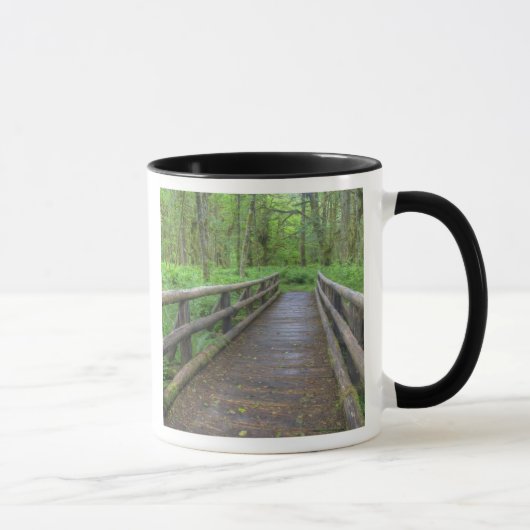 Ahornbahn mit Holzbrücke, Farne und Tasse (Rechts)