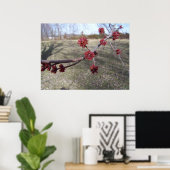 Ahornbaum-Buds Poster (Heimbüro)