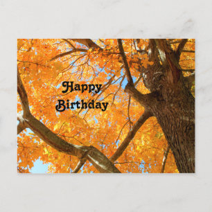 Ahornbaum-Foto zum Geburtstag im Herbstgelb Postkarte