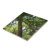 Ahornbaum Grün Natur Fliese (Seite)