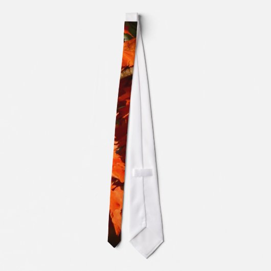 Ahornbaum im Herbst auf einer Krawatte, die Männer Krawatte (Rückseite)