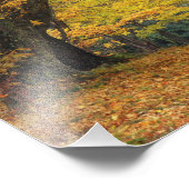 Ahornbaum im Herbst über der Landstraße, Fotodruck (Ecke)