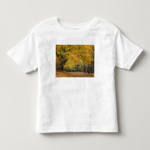Ahornbaum im Herbst über der Landstraße, Kleinkind T-shirt