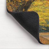 Ahornbaum im Herbst über der Landstraße, Mousepad (Ecke)