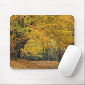 Ahornbaum im Herbst über der Landstraße, Mousepad (Mit Mouse)