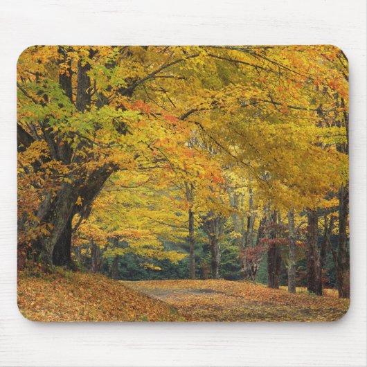Ahornbaum im Herbst über der Landstraße, Mousepad (Vorne)