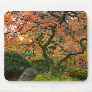 Ahornbaum im japanischen Garten im Herbst Mousepad