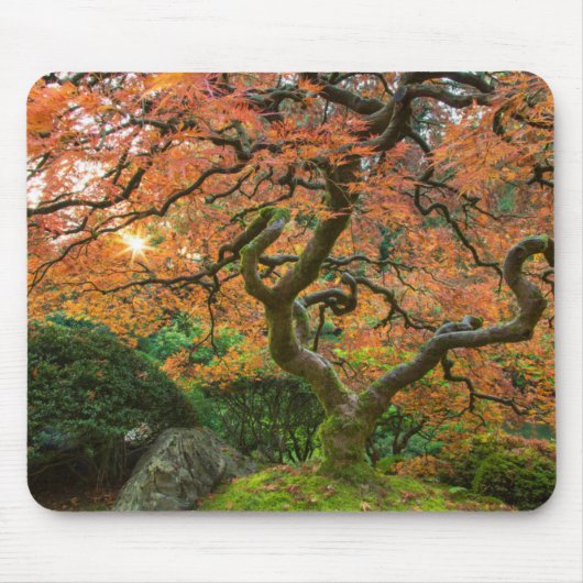 Ahornbaum im japanischen Garten im Herbst Mousepad (Vorne)