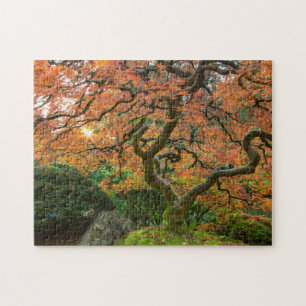 Ahornbaum im japanischen Garten im Herbst Puzzle