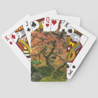 Ahornbaum im japanischen Garten im Herbst