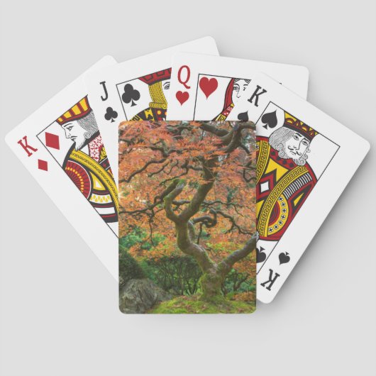 Ahornbaum im japanischen Garten im Herbst Spielkarten (Rückseite)