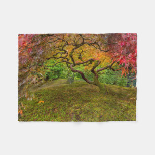 Ahornbaum in Herbstfarbe Fleecedecke