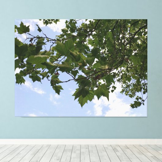 Ahornbaum Leinwanddruck (Insitu (Holzboden))