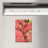 Ahornbaum-Magnet Magnet (In Situ (Geschirrspüler))